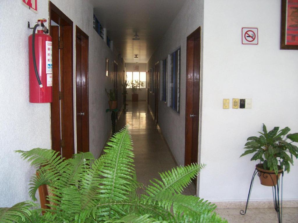 Hotel Acuario Catemaco Exteriér fotografie